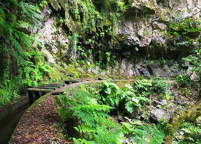 Salgueiro 酒店 莫尼兹港